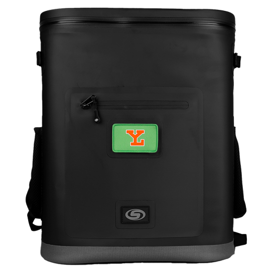 Hielera Backpack Premium Leones (36 Latas)