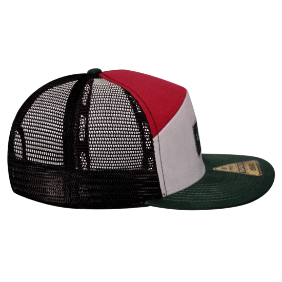 Gorra Leones SB Old Surfer Leones