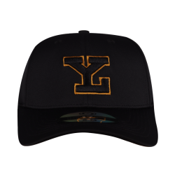 Gorra Leones HI17PF Ngo LY Ouline