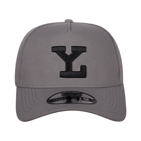 Gorra Leones MDV19 Gris LY