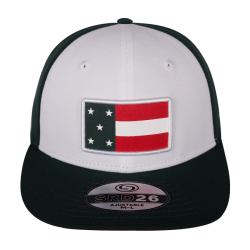Gorra Leones SRD26 Blanco-Verde BANDERA