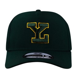 Gorra Leones MDV19 Verde LY Gold