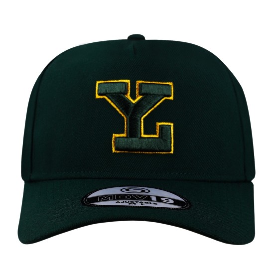 Gorra Leones MDV19 Verde LY Gold