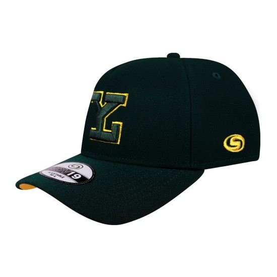Gorra Leones MDV19 Verde LY Gold