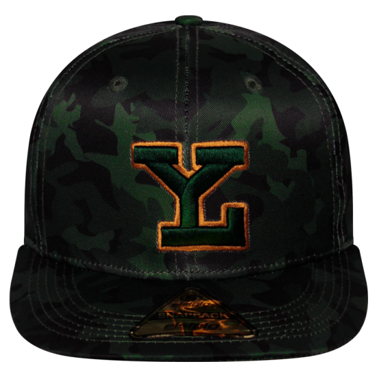 Gorra Leones SB Proudly LY