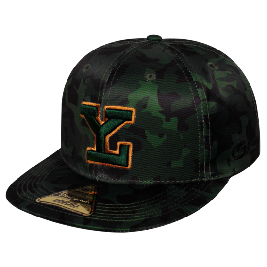 Gorra Leones SB Proudly LY