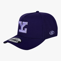 Gorra Leones MDV19 Morado LY