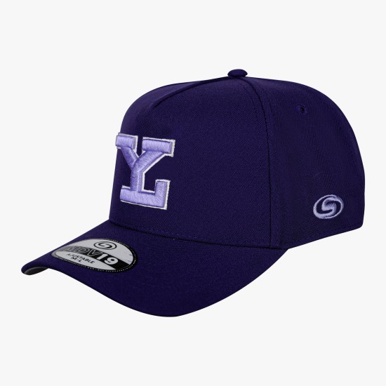 Gorra Leones MDV19 Morado LY