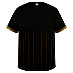 Jersey Leones Negro Dorado Infantil 2024