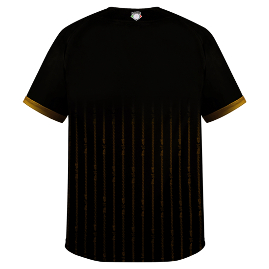 Jersey Leones Negro Dorado Infantil 2024