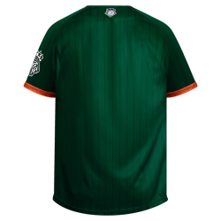 Jersey Leones Verde Rayado Infantil 2023