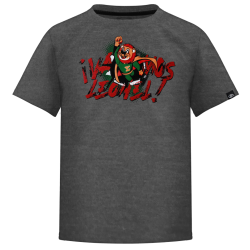 Playera Leones Super Héroe Gris Infantil