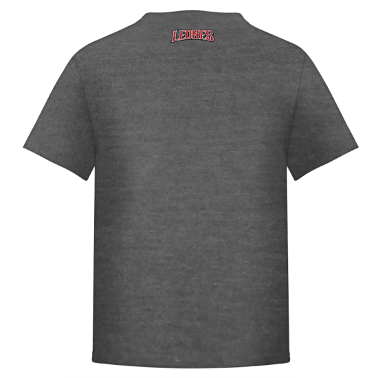 Playera Leones Super Héroe Gris Infantil