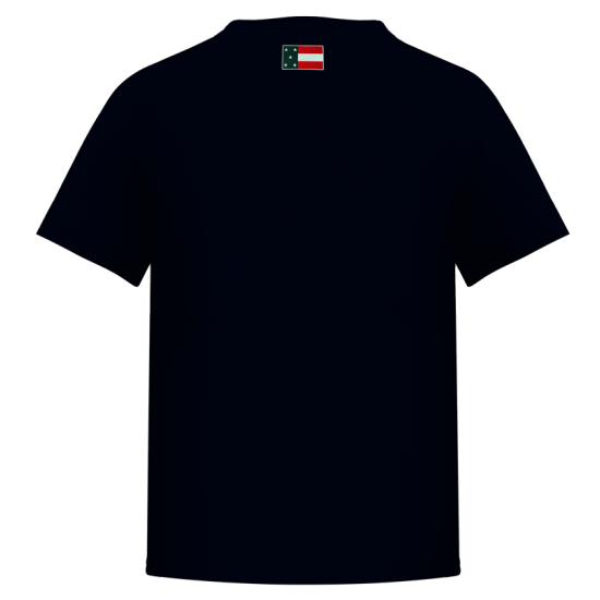 Playera Leones Marino Infantil