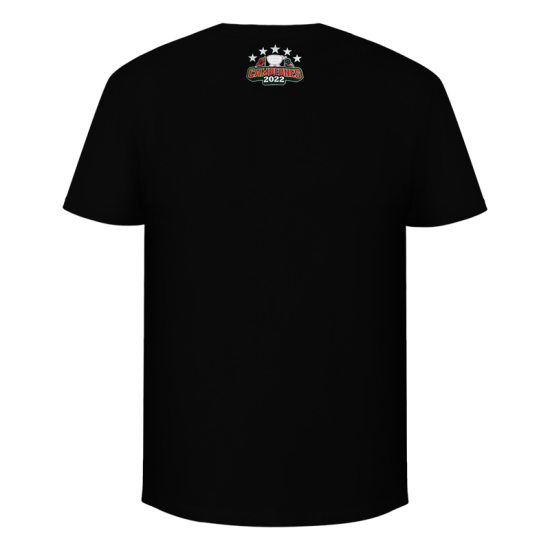 Playera Leones Bandera Negro JP25 Caballero