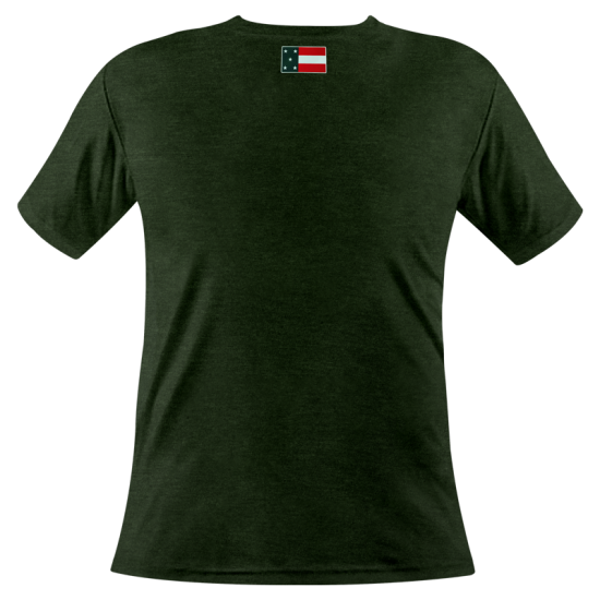 Playera Leones Baseball Verde Caballero (CORTE FIT)