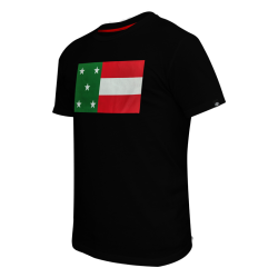 Playera Leones Bandera Negro JP25 Caballero