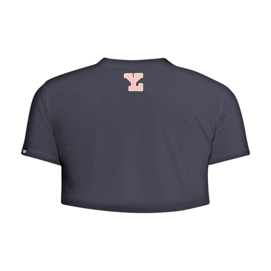 Playera Leones Crop Top Gris Carbón Dama