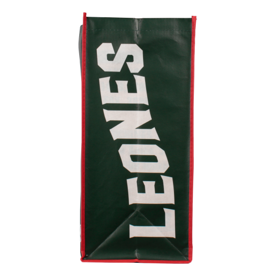 Bolsa De Playa Leones