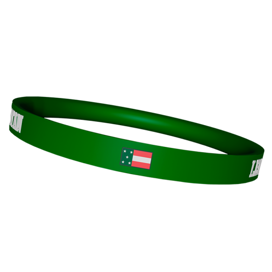 Pulsera Rubber Leones