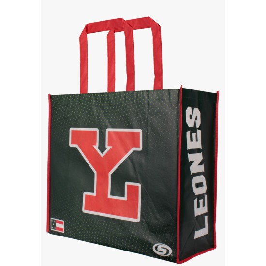 Bolsa De Playa Leones