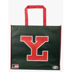 Bolsa De Playa Leones