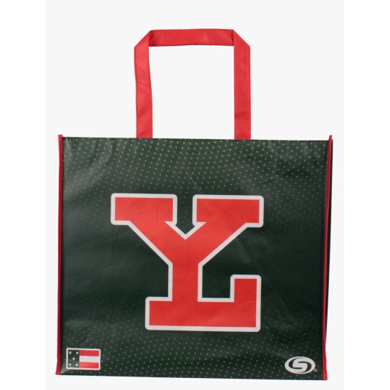 Bolsa De Playa Leones