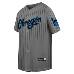 Jersey Yaquis Gris Rayado Infantil 24-25