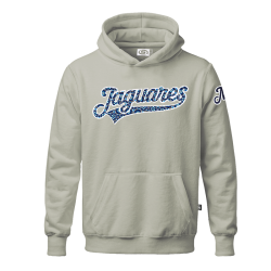 Hoodie Jaguares Gris 25-26 Infantil