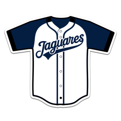 Calcomania Jersey Jaguares Bco/Mno