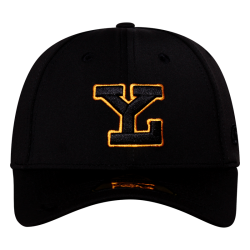 Gorra Leones Premium Ngo Outline