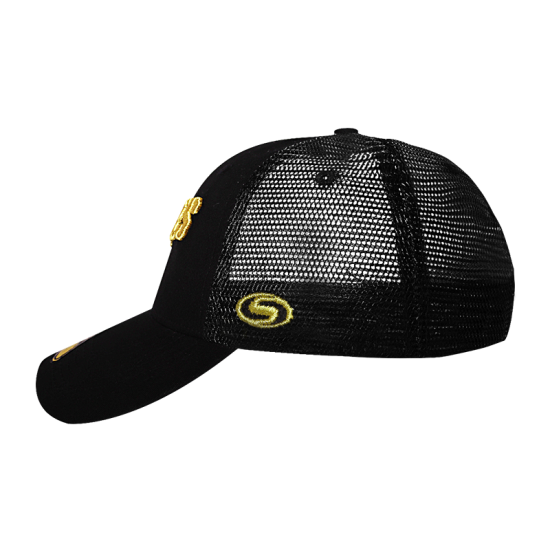 Gorra Leones Strapback Black Golden
