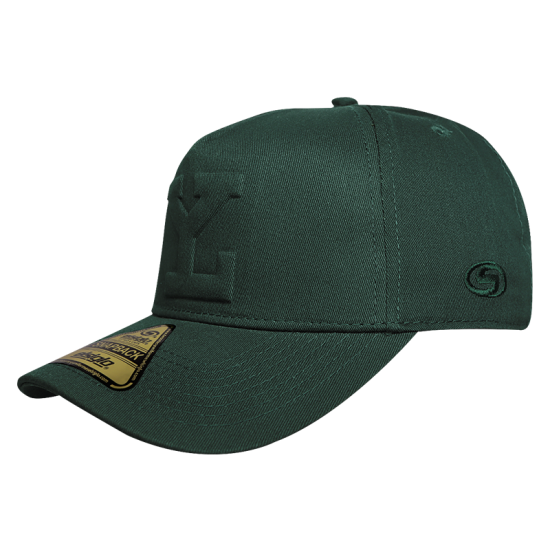 Gorra Leones SB Heighten Verde LY