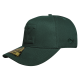Gorra Leones SB Heighten Verde LY