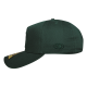 Gorra Leones SB Heighten Verde LY