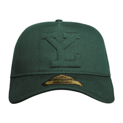 Gorra Leones SB Heighten Verde LY