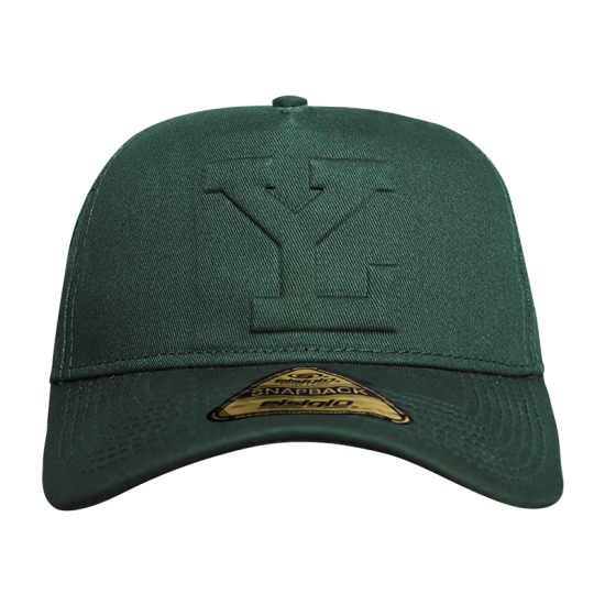 Gorra Leones SB Heighten Verde LY