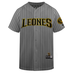 Jersey Leones Gris Caballero 2025