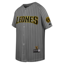 Jersey Leones Gris Infantil 2025