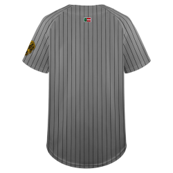 Jersey Leones Gris Caballero 2025