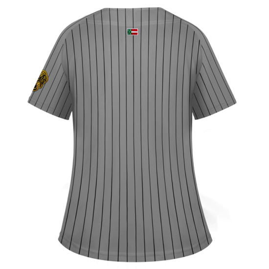 Jersey Leones Gris Dama 2025