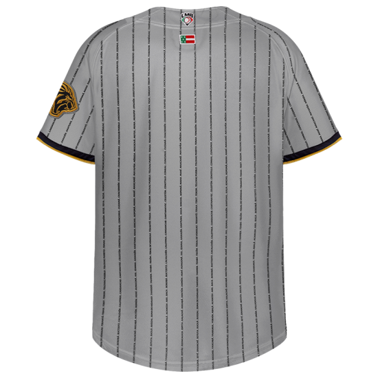 Jersey Yucatan Gris Infantil 2026