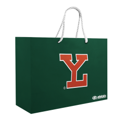 Bolsa De Regalo Leones LY Chica