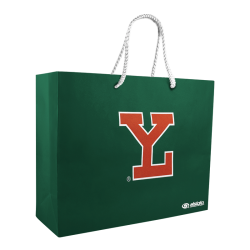 Bolsa De Regalo Leones LY Grande