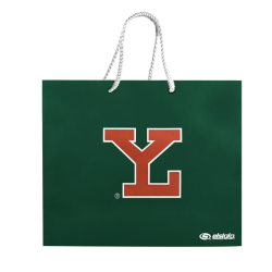 Bolsa De Regalo Leones LY Grande