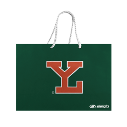 Bolsa De Regalo Leones LY Chica