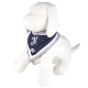 Bandana Para Mascota N Bandana Para Mascota N
