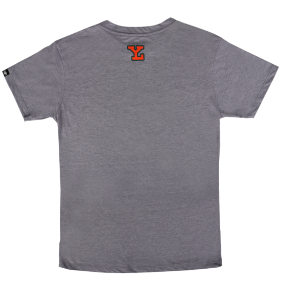 Playera Leones Leonel Gris Infantil