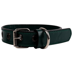 Collar LY Mascota Verde