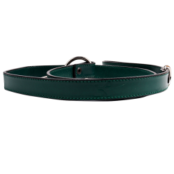 Correa LY Mascota Verde